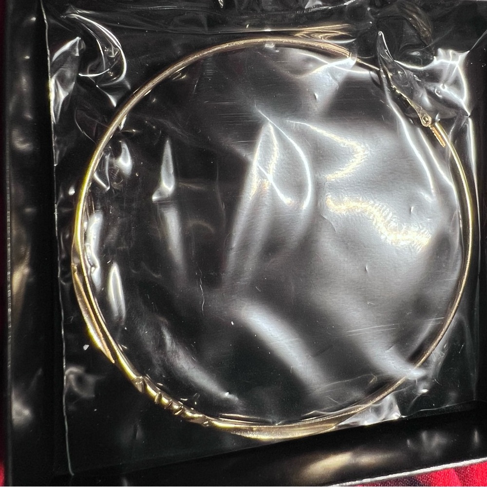 🌟NWOT! Gold Big Hoop Earrings